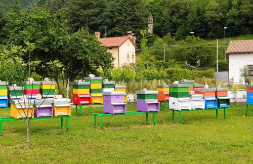 Residence Gonda&Giuliano - Photo 63