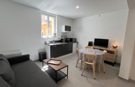 Appartement T2 40 M2 cosy RDC plein centre ville - Foto 23