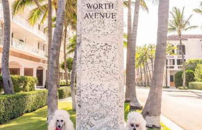 Modern 3BR, Pet-Friendly, WiFi, Washer & Dryer - Foto 31