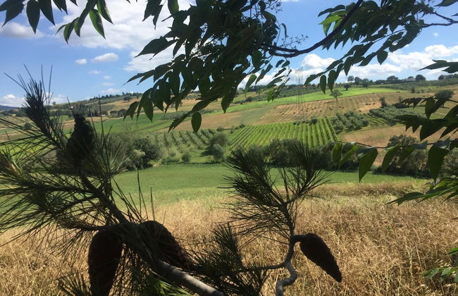 Poggio alla Pietra 26 - Foto 40