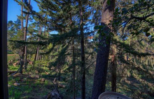 Holly Hill Cottage-Spring Special 3/1 thru 5/21 - Foto 20