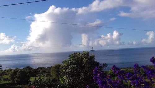 Sunflower Guest House - Madalena - Pico - Photo 4