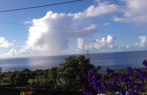 Sunflower Guest House - Madalena - Pico - Photo 4