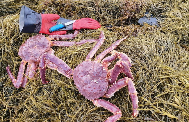 Åtte Årstider Lodge - Foto 13