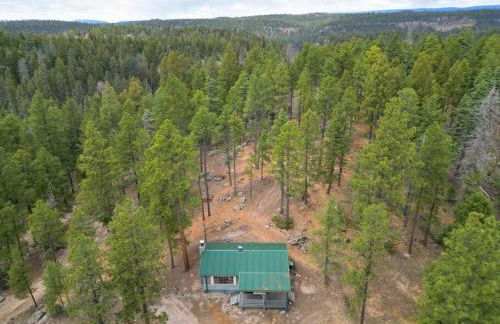 Serene 70s Retreat Near San Antonio Hot Springs - Foto 10