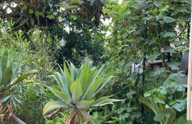 A piedi scalzi sullo Stretto 2 - Foto 32