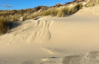 Le Petit Studio de Merlimont - Foto 30