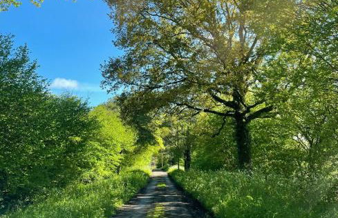 The Hayloft - Foto 17