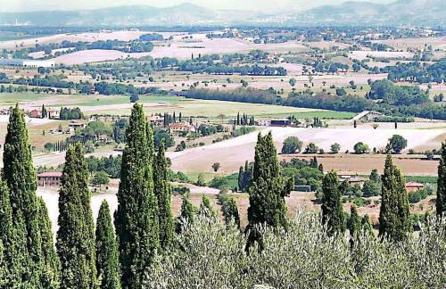 La Dormeuse - Foto 18