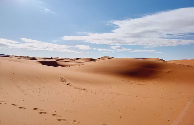 3 Tage von Fes nach Marrakesch Wüste Tour 2 Nächte - Foto 26