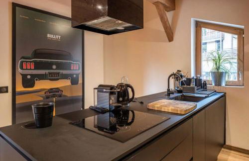 Triplex chaleureux Huez Village à 20m des remontées - Photo 11