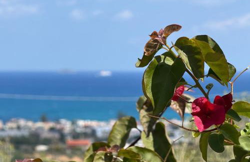 Roboboss Garden Rooms - Foto 34