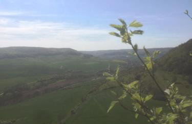 Ferienwohnung Saaletalblick - Foto 29
