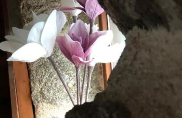 El Balconcillo del Alberche - Photo 19