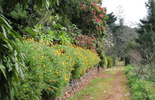 Valle Paraizo - Foto 70