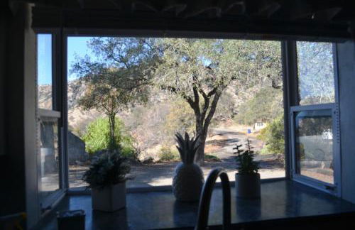 Shady Knoll - Photo 21