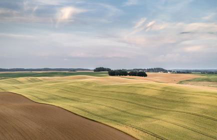 SEEZIEGE Uckermark - Ferienwohnungen am Carwitzer See - Foto 32