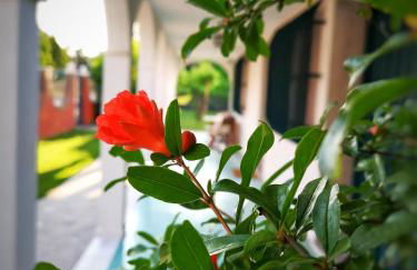 Casa del Vigneto - NEW near VENICE - rooms+bathroom - INDEPENDENT - Foto 7