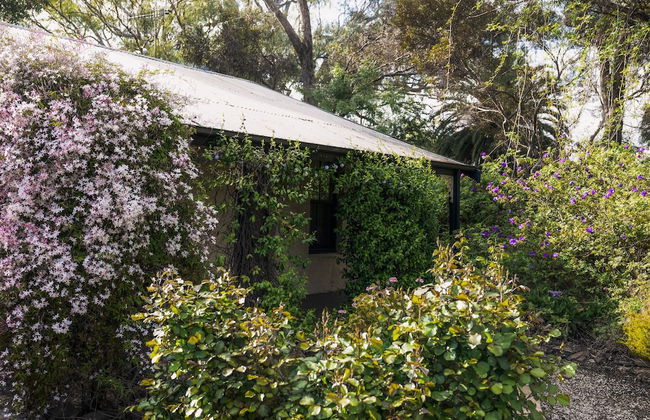Jasmine's Cottage - Photo 20