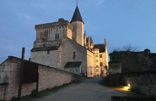 Le logis des diligences - Vue sur le château - Foto 7