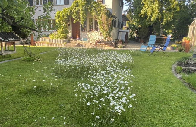 Ferienhaus Oase am Mühlebach - Foto 11