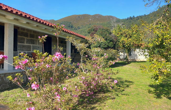 Vinte-Quinta da Boavista - Photo 54