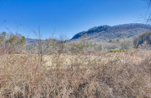 Cozy Dillard Cabin with Mountain Views and Pool Access - Foto 23