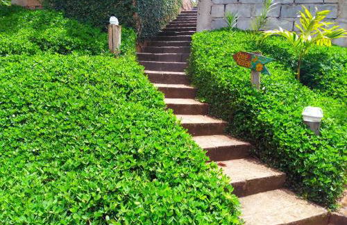 Recanto Mauá - Chalé Azaleia - Photo 43