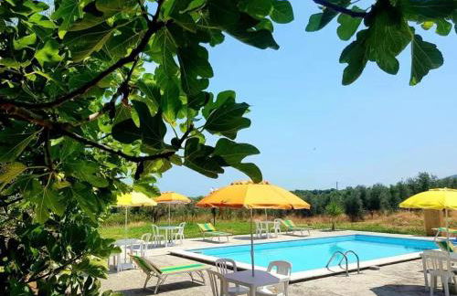 Dal Cavallaro - Foto 15