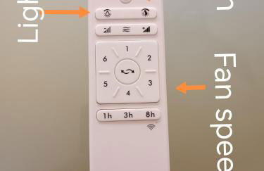 Ilgattonero - Foto 42