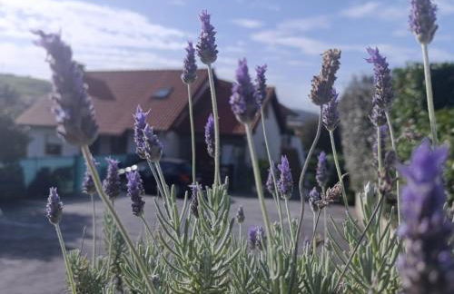 Apartamentos Guadalupe - Foto 12