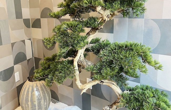 Starlight Hotel - Photo 24