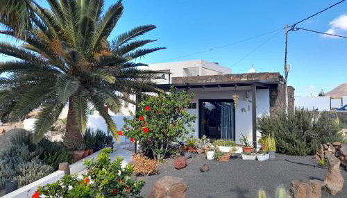 Apartamento con terraza y jardín - Foto 2, Garden, Garden view
