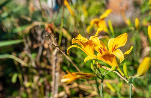 Haus Günter und Valeria - Foto 24