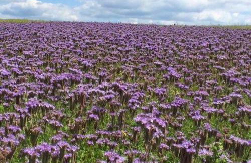 Modern Holiday Home in Hessen - Foto 52