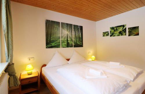 Gästehaus Seewald- Ferienwohnung 3 "Tanne", Schluchsee, Blasiwald - Foto 10