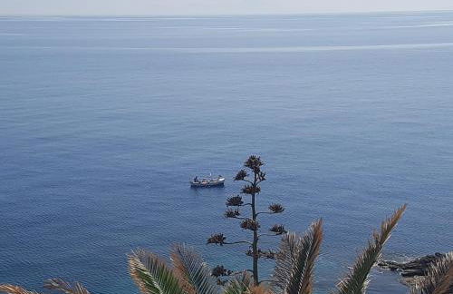 Akrogiali studios - Photo 63