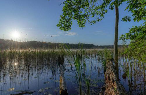 Luxus Loft am Müritzufer - Foto 13