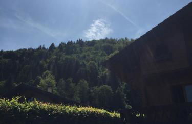 Chalet Olimon - Foto 31