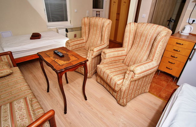 Apart & Wellness Hotel VILLA IVICA - Foto 60