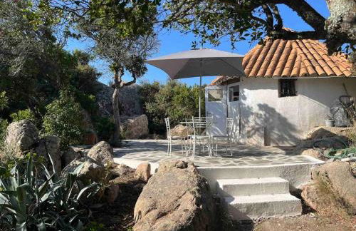 Maison de vacances dans village AUTHENTIQUE Corse - Foto 1