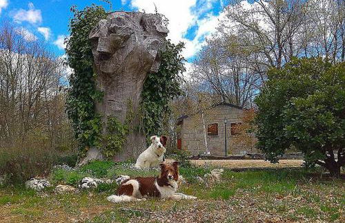 Cabañas Vallecino - Foto 14