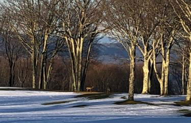 Beech Mountain Swiss-style Chalet - Foto 35