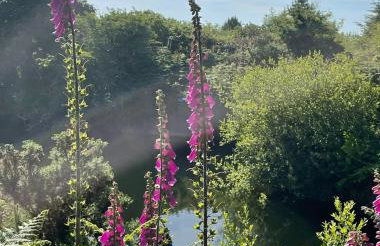 Tresahor Studio with sauna - Foto 30