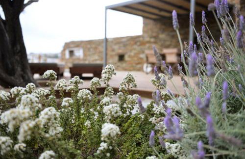 Villa Prasini - Foto 31