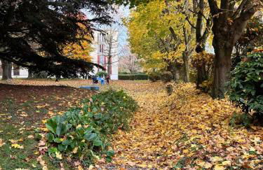 Champions Deluxe - Foto 15