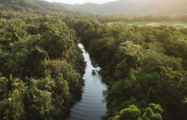 Daintree Ecolodge - Photo 55