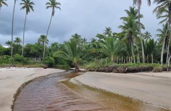 Apartamento à beira-mar: ideal para famílias . - Foto 17