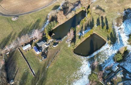 Agroturystyka nad stawami - Foto 17