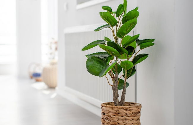 Niagara Apartments - Foto 2